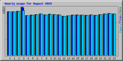 Hourly usage for August 2025