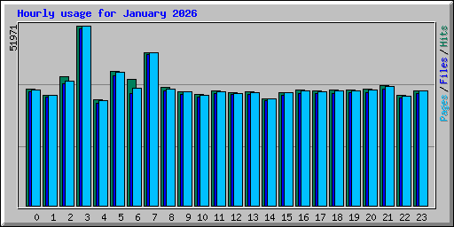 Hourly usage for January 2026