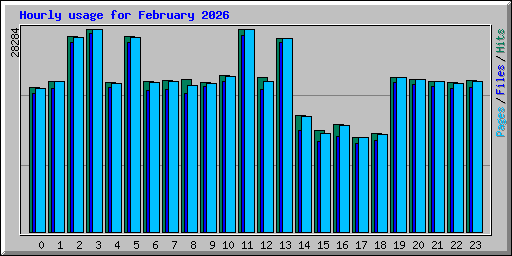 Hourly usage for February 2026